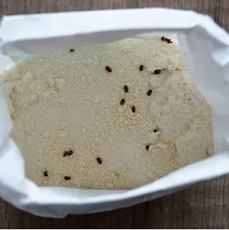 rectangle 191 (1) 11zon