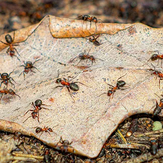 rectangle 192 (4) 11zon