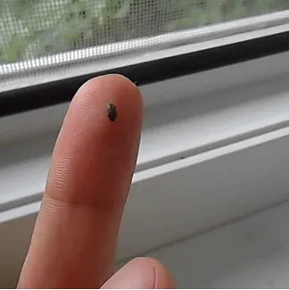 rectangle 193 (1) 11zon