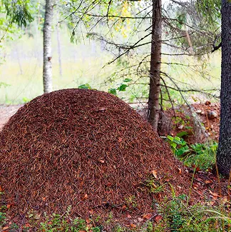 rectangle 193 (4) 11zon